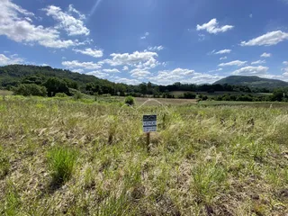 Vista de uma área rural com vegetação alta em primeiro plano e colinas verdes ao fundo.