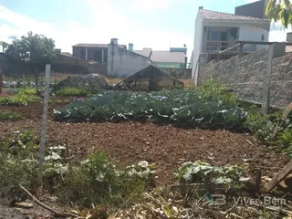 Terreno, foto 2