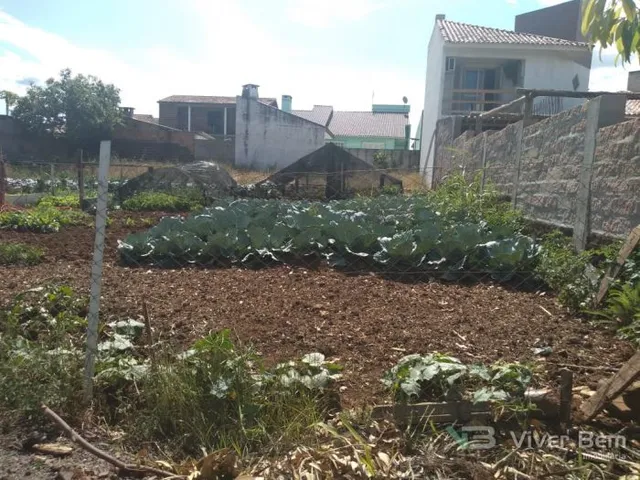 Terreno, foto 2