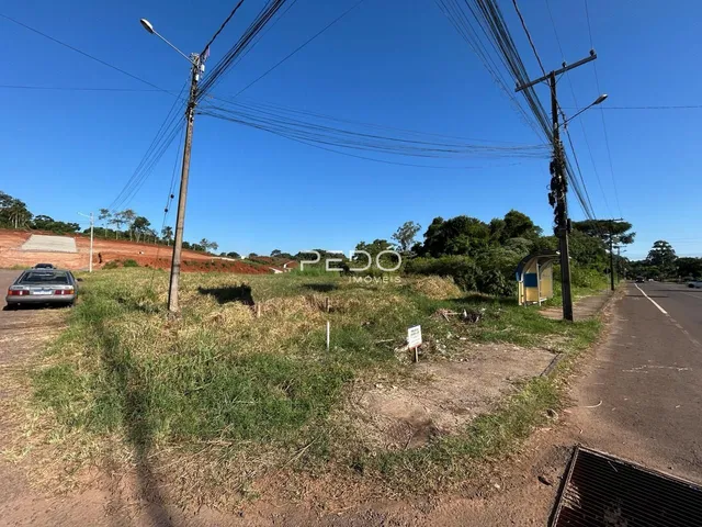 Paisagem de terra e vegetação ao lado de uma estrada.