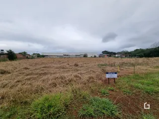 Vista aérea de uma área de terreno com vegetação seca no primeiro plano.