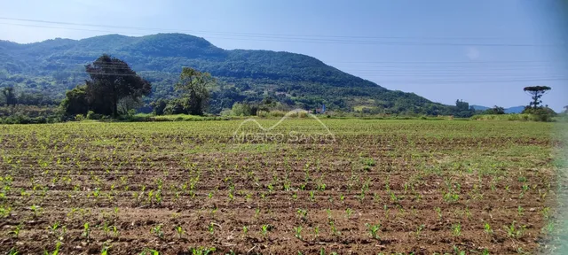 Área rural, foto 4