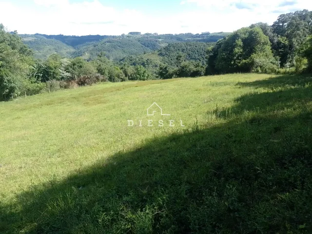 Área rural com 2 dormitórios, foto 5