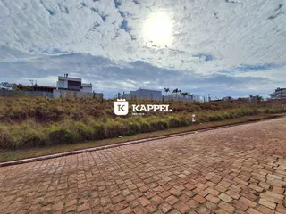 Vista externa de uma estrada de paralelepípedos com vegetação seca em frente a edifícios ao fundo.