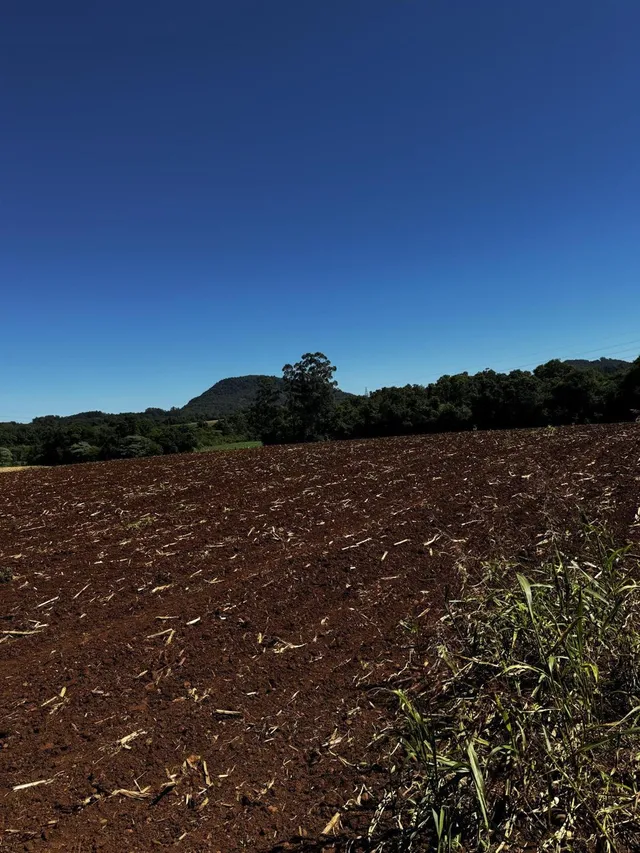 Área rural, foto 3