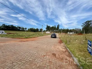 Terreno, foto 3