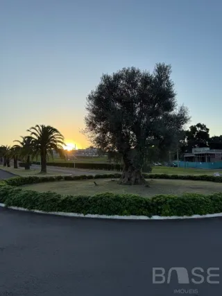 Terreno, foto 1