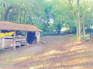 Área rural, foto 12