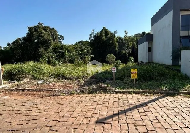 Vista externa de uma área com pavimentação e vegetação densa.