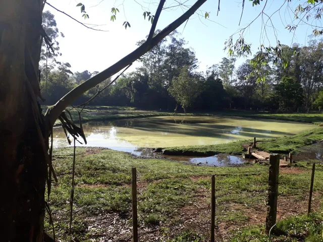 Área rural com 3 dormitórios, foto 2
