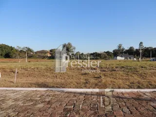 Vista de uma área de campo aberto com vegetação seca.