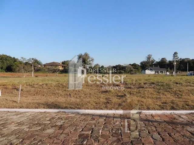 Vista de uma área de campo aberto com vegetação seca.