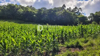 Área rural, foto 14