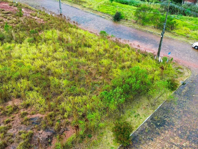 Terreno, foto 2