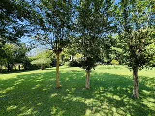 Área rural com 4 dormitórios, foto 6