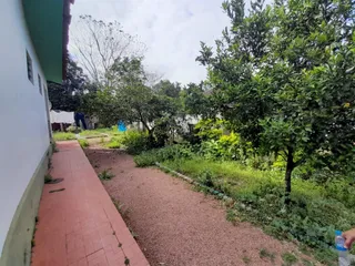 Casa com 3 dormitórios, foto 19