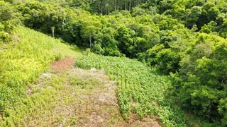 Vista aérea de uma área com vegetação densa e mata.