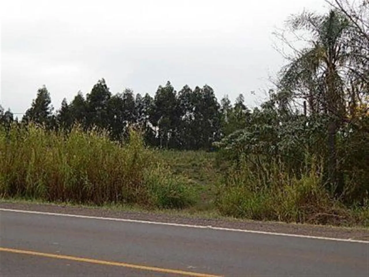 Terreno, foto 1
