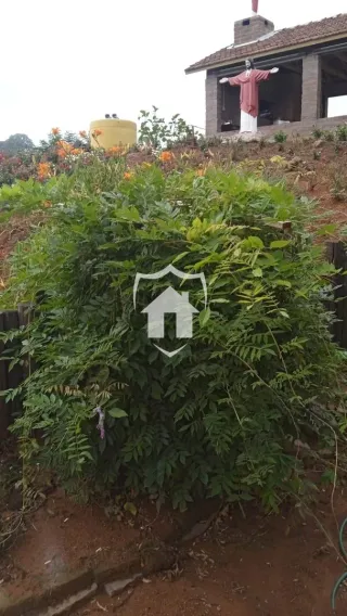 Área rural com 4 dormitórios, foto 16