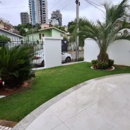 Foto da área externa com gramado e palmeira em um imóvel.
