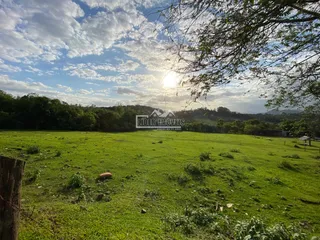 Terreno, foto 7