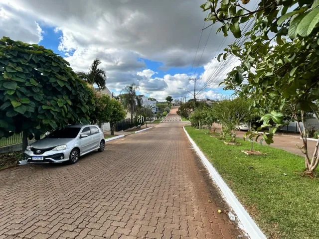 Vista externa da rua com vegetação e carro estacionado.