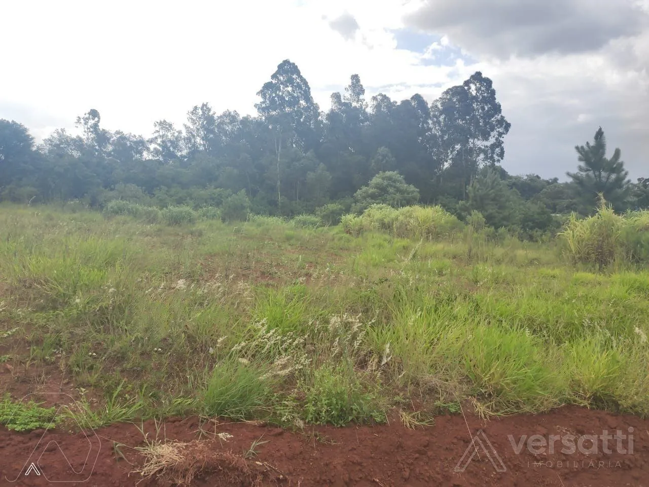 Terreno, foto 1