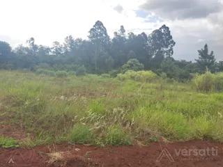 Terreno, foto 1