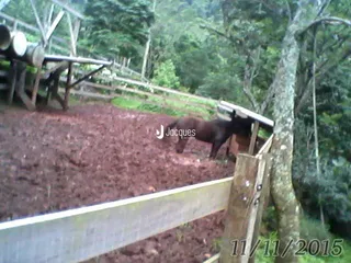 Área rural com 2 dormitórios, foto 28