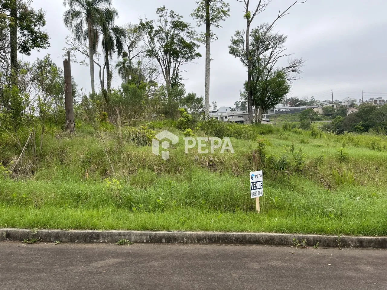 Terreno, foto 1