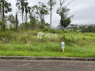 Terreno, foto 1