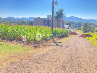 Terreno, foto 2