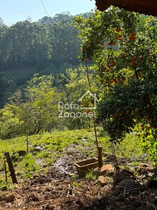 Área rural, foto 17