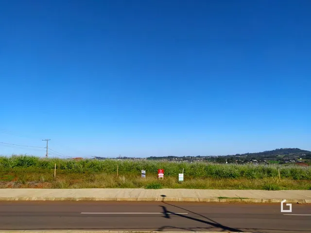 Vista de paisagem com vegetação e estrada em Lajeado.