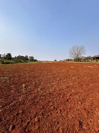 Terreno