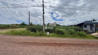 Terreno, foto 1