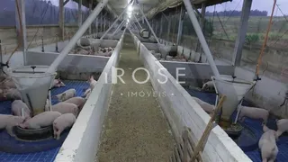 Área rural com 3 dormitórios, foto 11