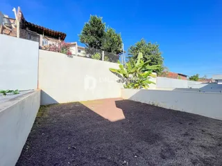 Vista externa de um quintal com muro branco e vegetação.