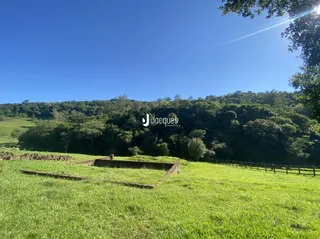 Campo verde com cerca e vegetação ao fundo.