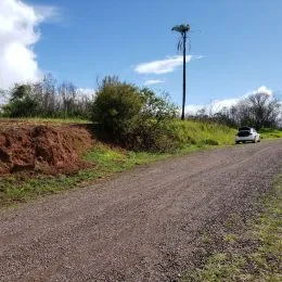 Vista de uma estrada de terra com vegetação ao lado.
