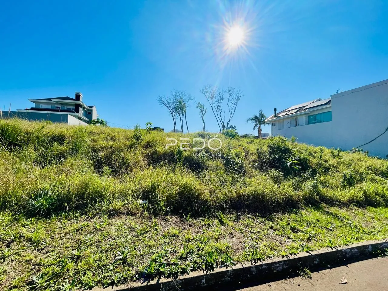 Terreno, foto 1