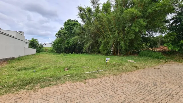 Vista externa de um terreno com grama e vegetação densa.