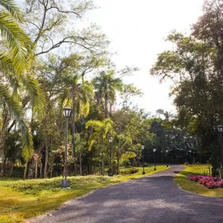 Terreno, foto 11