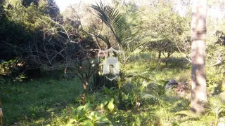 Área rural com 2 dormitórios, foto 6