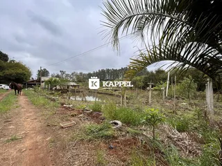 Paisagem externa mostrando um caminho de terra e vegetação ao redor de um corpo d'água.