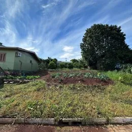 Terreno, foto 2