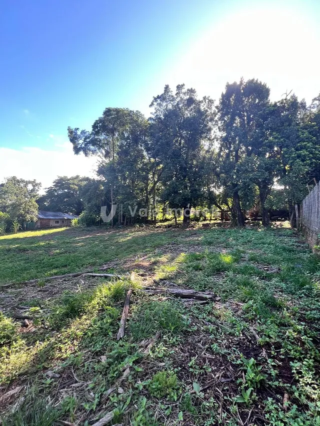 Terreno