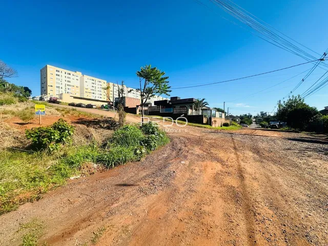 Vista externa de uma propriedade com estrada de terra e vegetação no primeiro plano.