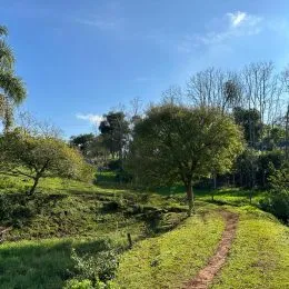 Paisagem externa com vegetação e trilha de terra em uma área verde.
