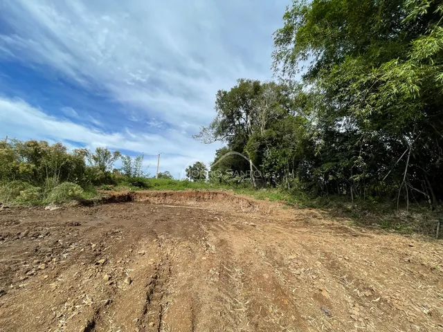 Vista de um terreno aberto com terra e vegetação densa.